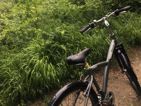 va-fi-extins-proiectul-de-transport-al-bicicletelor-in-poiana-braov