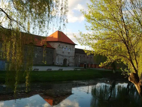 fagarasul-este-in-sarbatoare