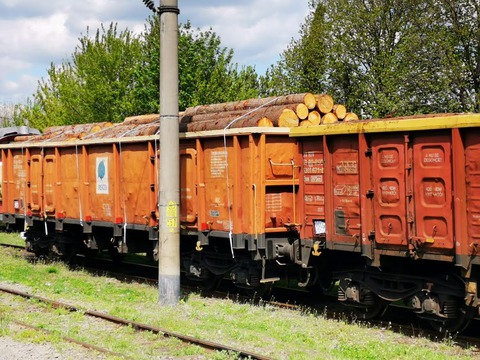 27-de-vagoane-pline-cu-lemne-aduse-din-cehia-au-fost-confiscate-de-garda-forestiera-braov