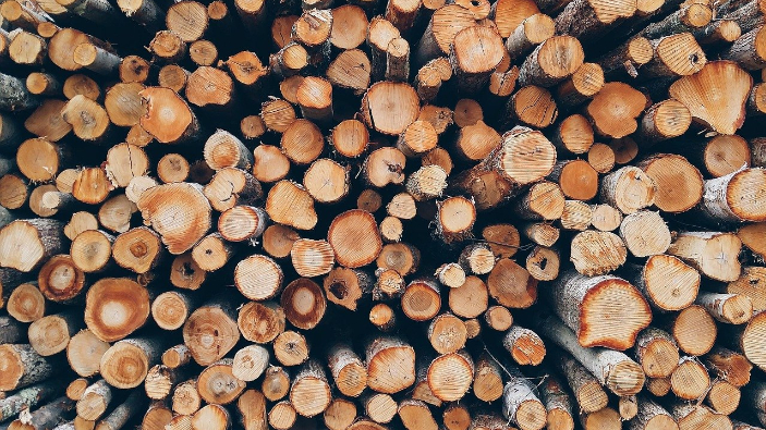 romsilva-pune-la-dispozitia-populatiei-lemn-pentru-foc