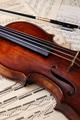 Top 5 mari concerte pentru vioar i orchestr la 'Allegro de weekend' - din 8 februarie