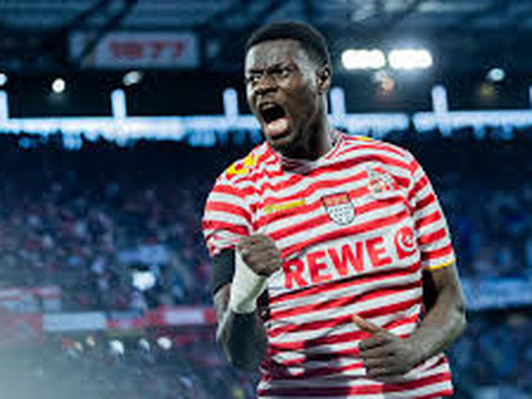 sport-koln-gewinnt-gegen-hsv-wolfsburg-verliert-gegen-hoffenheim