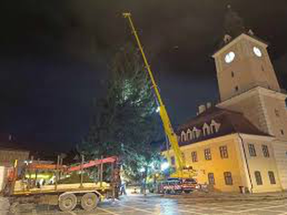 weihnachtsbaum-in-kronstadt-wurde-aufgestellt