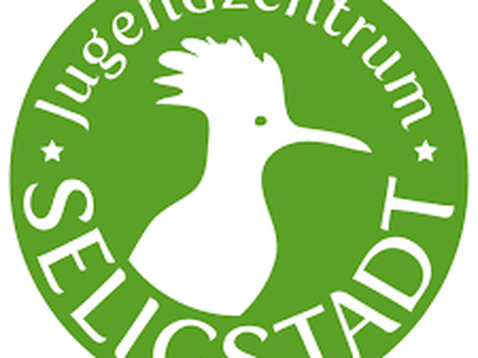 sangerinnen-und-sanger-fur-das-advents-projekt-von-dechor-gesucht