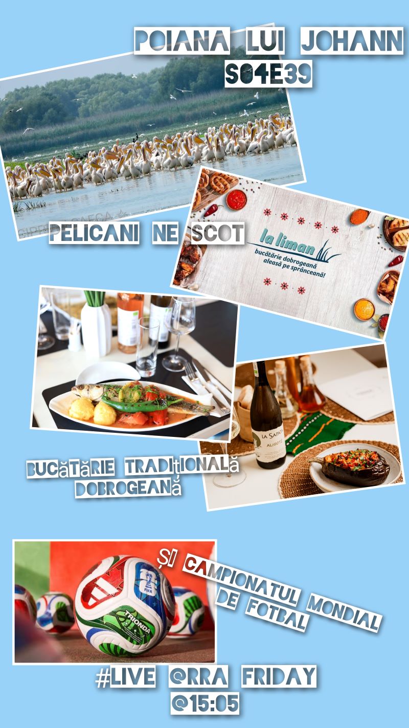 S04E39 Pelicani p�n� La Liman