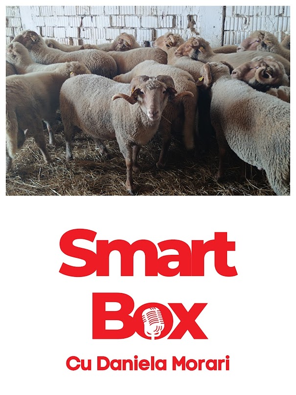 SMART BOX editia 435 - 16 septembrei 2024