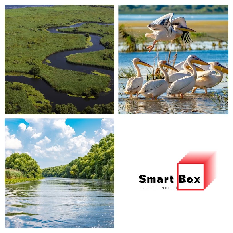 SMART BOX editia 598 - 30 mai 2025 SMART BOX editia 598 - 30 mai 2025