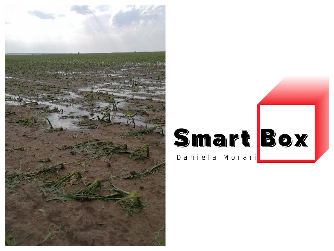 SMART BOX editia 646 - 06 august 2025 SMART BOX editia 646 - 06 august 2025