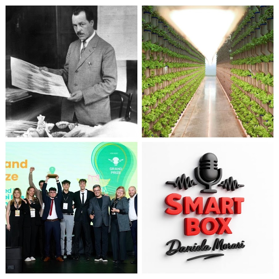 SMART BOX editia 721 - 25 noiembrie 2025