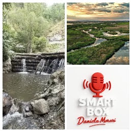 SMART BOX editia 760 - 26 februarie 2026