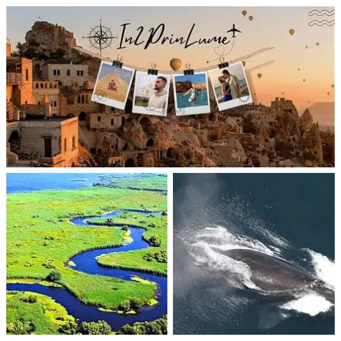 SMART BOX editia 784 - 02 aprilie 2026