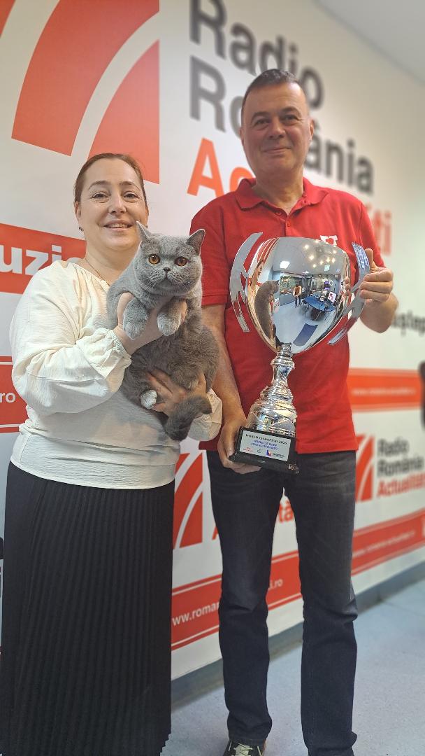 Kira Kiralina,Ediia din 3-11-2025