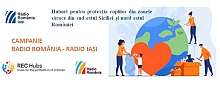 Obiectiv Romania - Fenomenul copiilor români fara educa&#539;ie / Elena Postelnicu